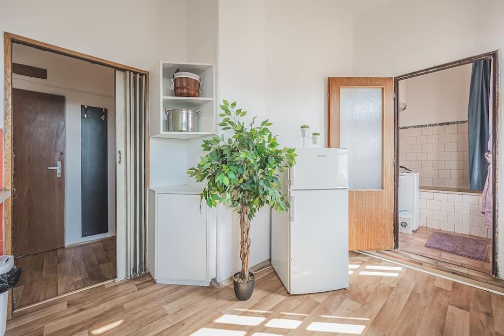 Carolina'S Romantic Apartment Hradec Králové المظهر الخارجي الصورة
